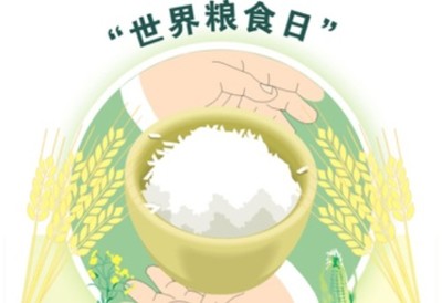 哪些因素影响全球粮食安全?