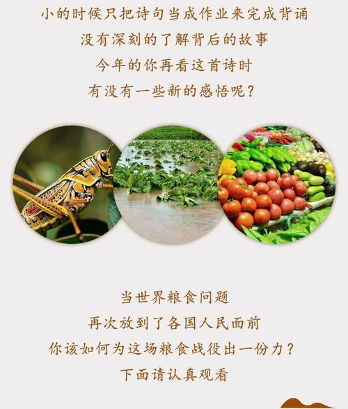 世界粮食日,拒绝 舌尖上的浪费