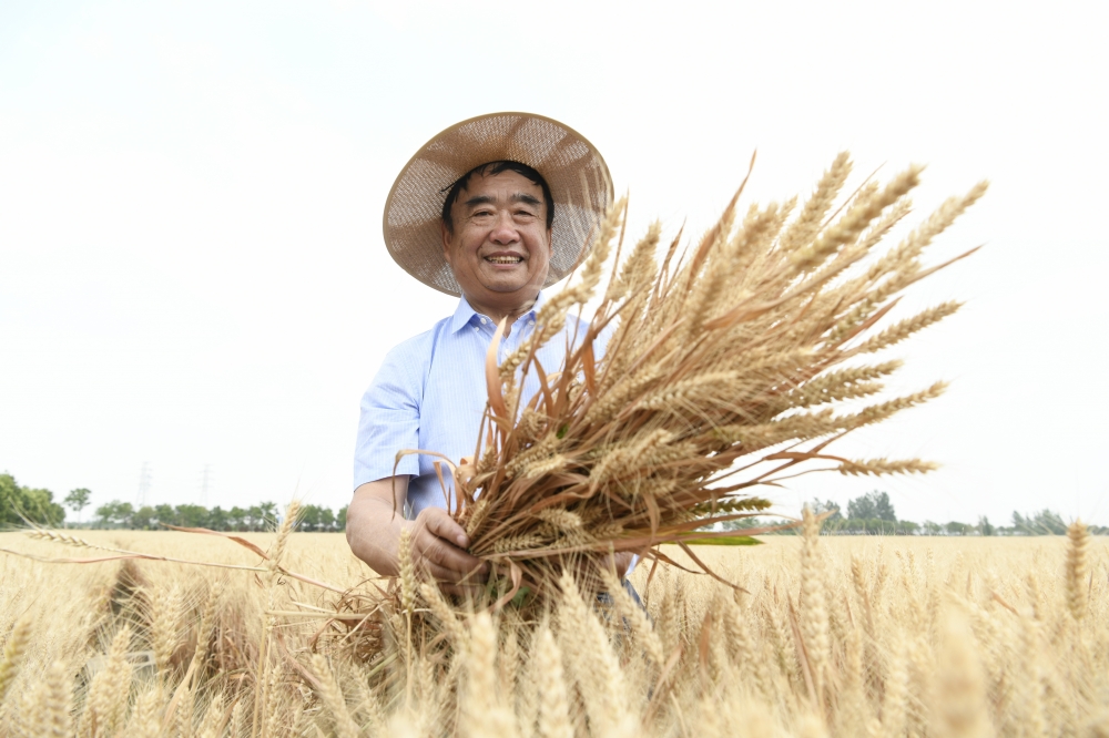 牢记总书记回信嘱托 为国家粮食安全贡献力量